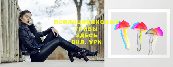 трава Аркадак