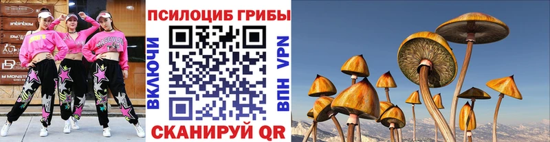 Псилоцибиновые грибы ЛСД  купить наркоту  Снежногорск 