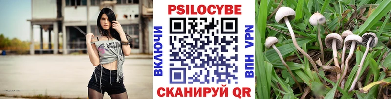 Псилоцибиновые грибы Magic Shrooms Снежногорск